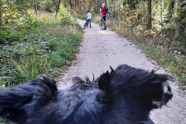 Ein Mann, ein Kind mit Fahrrädern und ein Hund.