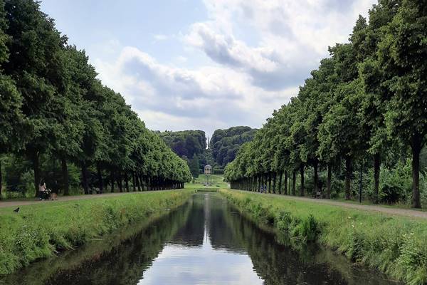 Blick auf Fluss zwischen Bäumen mit Gebäude im Hintergrund.