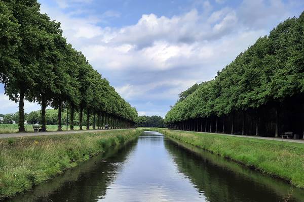 Blick auf Fluss zwischen Bäumen.